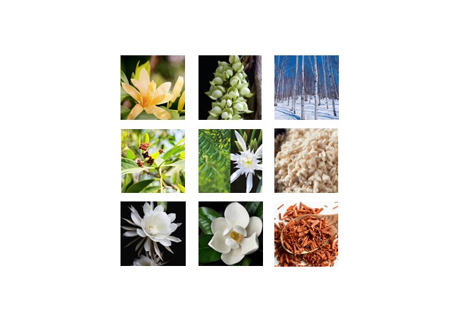 <p><strong>Gli ingredienti alla base dell’efficacia delle formule</strong></p>