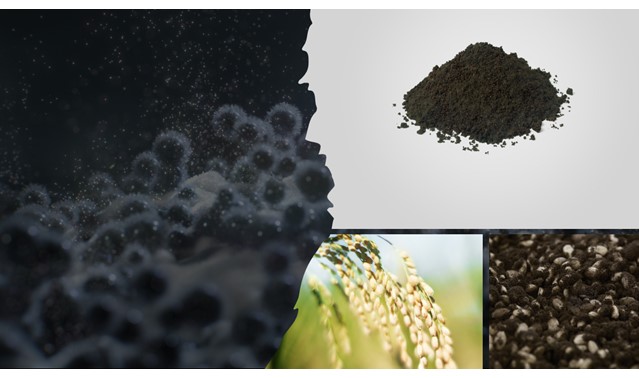 <p><strong>Alimenti tipici giapponesi ottenuti attraverso il processo di fermentazione</strong></p>