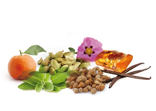 <p><strong>Akkad - Collezione Talismania</strong></p>